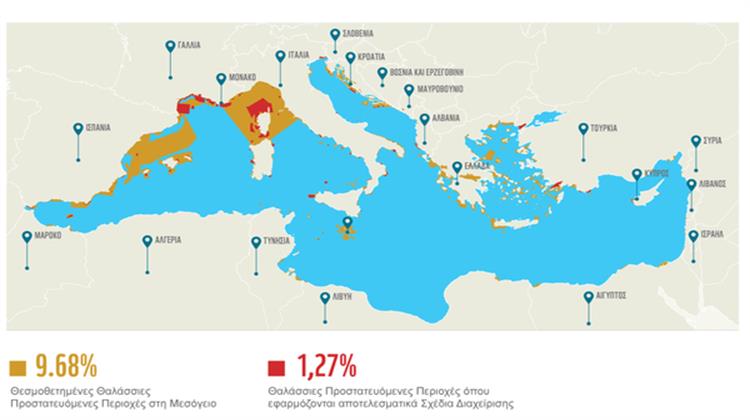 WWF: Η Μεσόγειος Παραμένει Χωρίς Καμία Προστασία